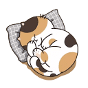 首页 - 手里有只毛毛虫